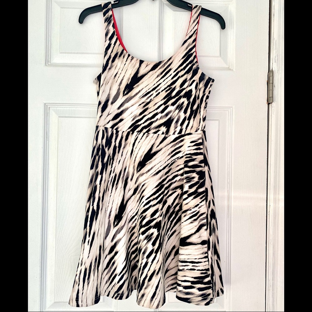 Zebra Print Express Dress